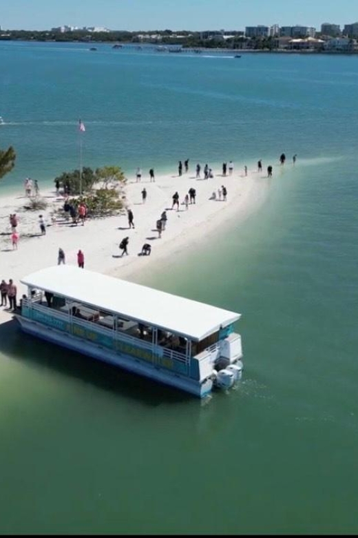 Clearwater Beach: Dolphin & Island Sandbar Cruise - The cruise from 25 Causeway Boulevard