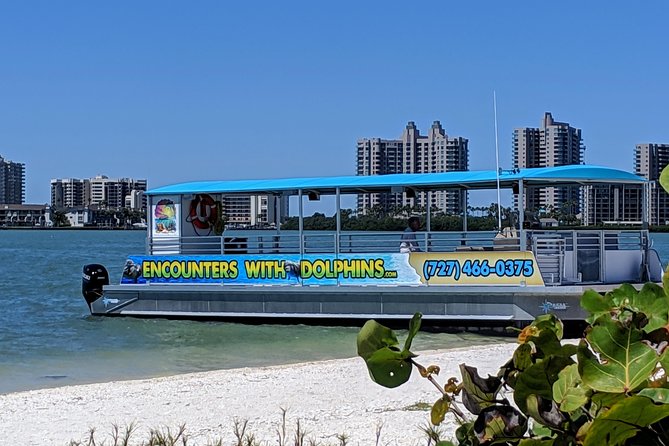 Clearwater Encounters with Dolphins Tour - What your 90 minutes on Clearwater Harbor looks like