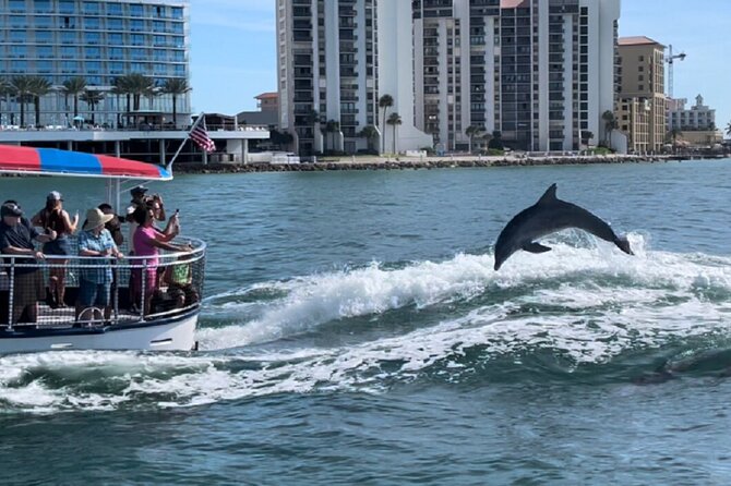 Clearwater Encounters with Dolphins Tour - Value at $35.67 per person