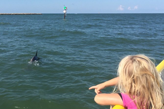Clearwater Encounters with Dolphins Tour - Who will enjoy this boat trip most