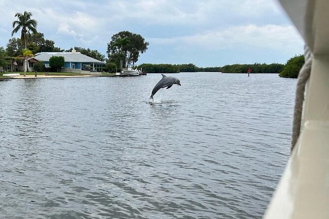Cocoa Beach Dolphin and Wildlife Tour - The guides make the difference
