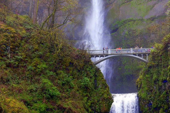 Columbia River Gorge Waterfalls Tour from Portland, OR - Timing, weather, and what to bring