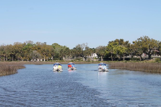 CraigCat Boat Tour from Fernandina Beach - Wildlife is part of the fun, not the whole bargain