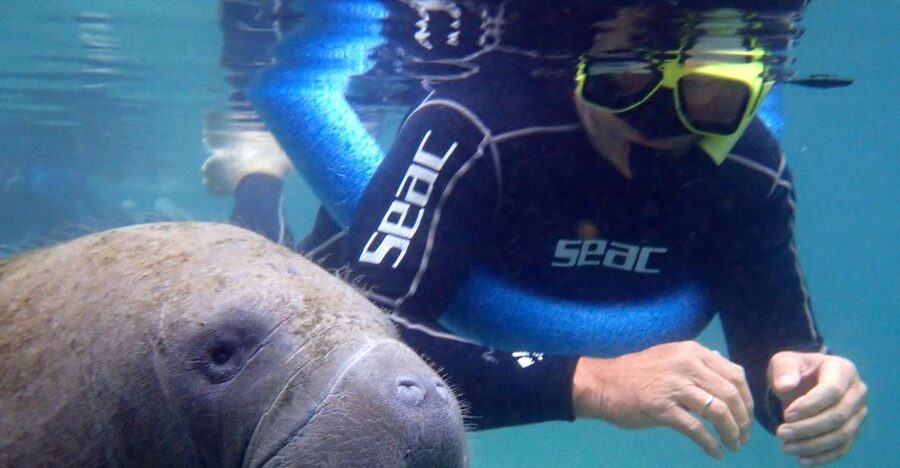 Crystal River: Manatee Snorkel Tour w/ In-Water Photographer - The in-water photographer and the real cost