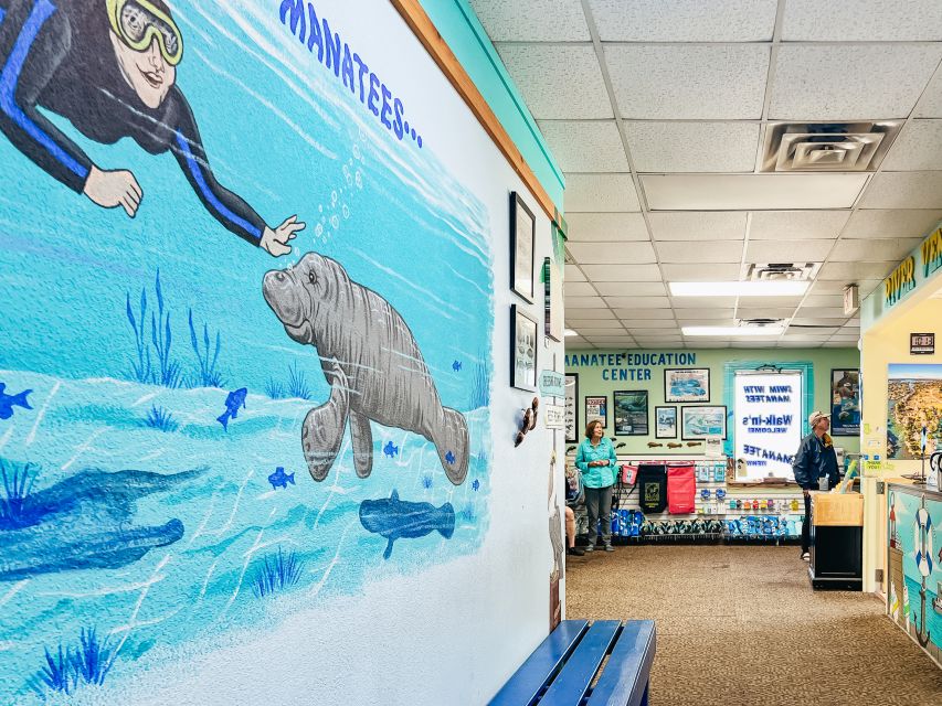 Crystal River: Manatee Snorkel Tour w/ In-Water Photographer - Starting at River Ventures on Kings Bay Drive