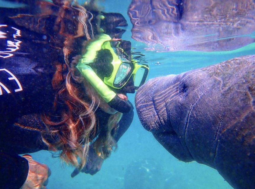 Crystal River: Manatee Swim Group Tour - The five-minute ride to Kings Bay