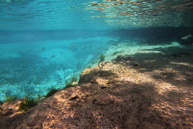 Crystal River: Semi-Private Manatee Swim Tour With Heated Boat - Check-in at 403 NE 2nd Street