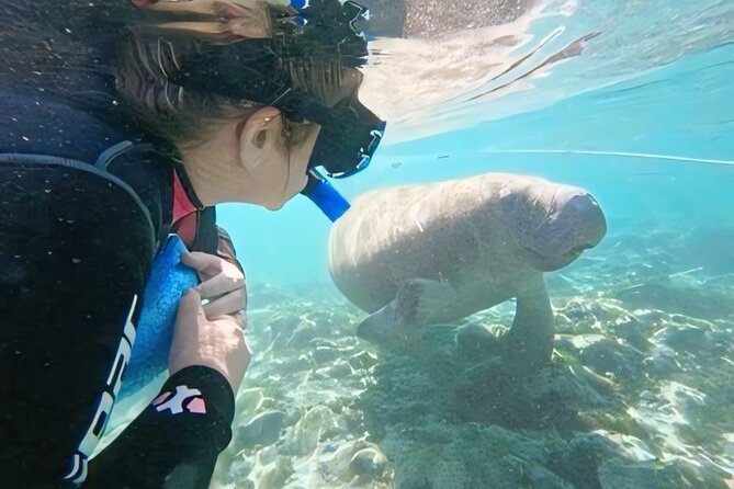 Crystal River: Semi-Private Manatee Swim Tour With Heated Boat - Photos are helpful, but not included