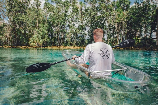 Crystal River Three Sisters Springs and Manatee Clear Kayak Tours - Why the clear kayak changes the Crystal River experience