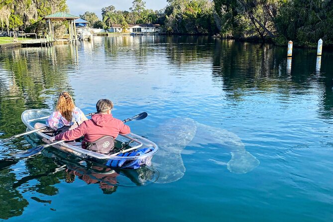 Crystal River Three Sisters Springs and Manatee Clear Kayak Tours - November through March: the best window for manatee sightings