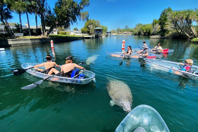 Crystal River Three Sisters Springs and Manatee Clear Kayak Tours - What your guide adds on the water