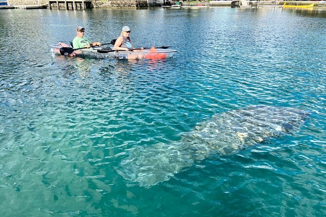 Crystal River Three Sisters Springs and Manatee Clear Kayak Tours - Is two hours enough time?