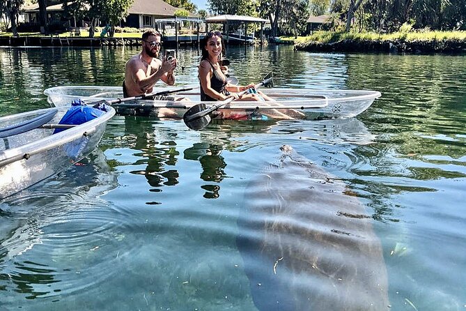Crystal River Three Sisters Springs and Manatee Clear Kayak Tours - Value, comfort, and who should book