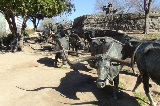 Dallas and Fort Worth City Sightseeing Tour Small-Group - Is $134.95 a fair price?