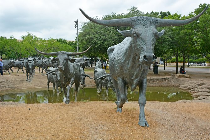 Dallas and JFK Cruizer Tour - The Arts District and Klyde Warren Park