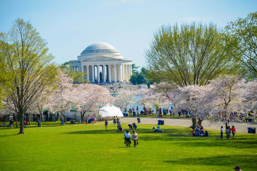 DC: Hop-on Hop-off Tour by Open-top Bus with 17 Stops - Why this bus works well in a spread-out capital