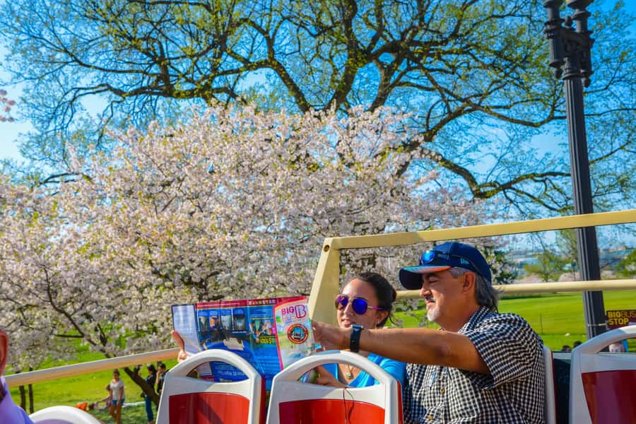 DC: Hop-on Hop-off Tour by Open-top Bus with 17 Stops - Smithsonian museums, Chinatown, and Ford’s Theatre