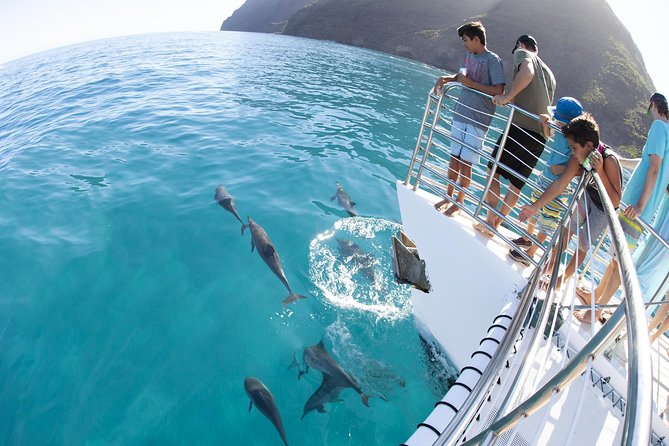 Deluxe Na Pali Morning Snorkel Tour on the Lucky Lady - Wildlife along the Na Pali cliffs