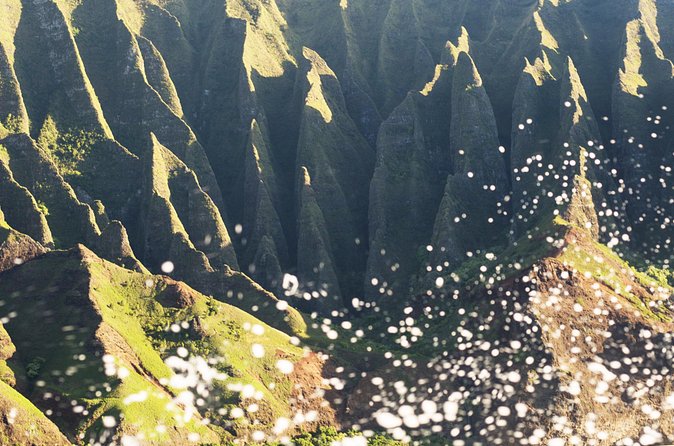 Deluxe Na Pali Sunset Tour on the Lucky Lady - Wildlife watching along the cliffs