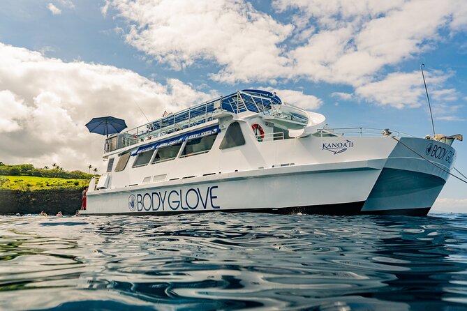 Deluxe Snorkel & Dolphin Watch Aboard a Luxury Catamaran from Kailua-Kona - Red Hill snorkeling, with two hours in the water