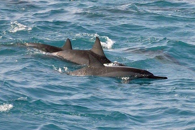 Deluxe Snorkel & Dolphin Watch Aboard a Luxury Catamaran from Kailua-Kona - Slides, platforms, and floating gear for a mixed-age group