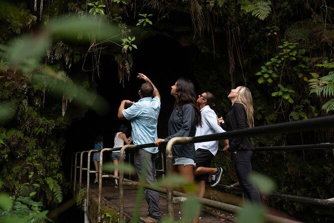 Deluxe Volcano Experience with Restaurant Dinner - Punaluʻu Black Sand Beach and its sea turtles