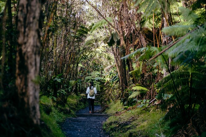 Deluxe Volcano Experience with Restaurant Dinner - A lava tube, rainforest, and changing weather