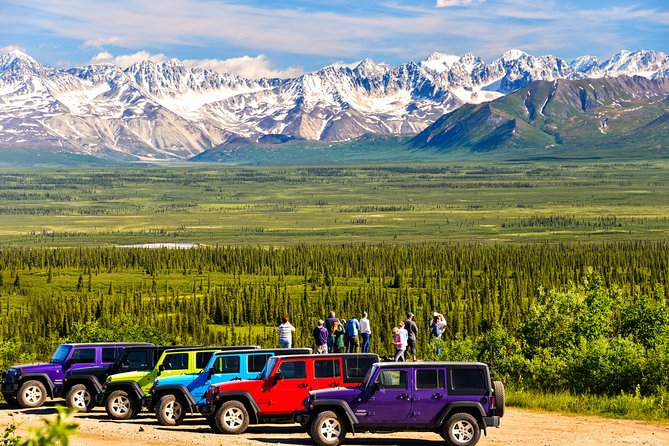Denali Highway Jeep Excursion - Wildlife watching requires realistic expectations
