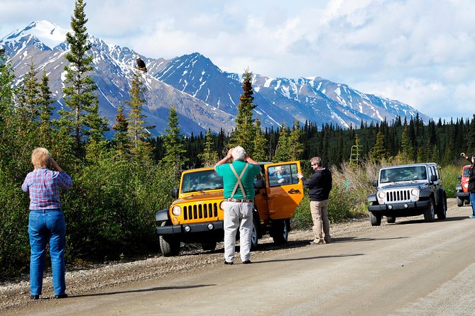 Denali Highway Jeep Excursion - Why the guides matter so much