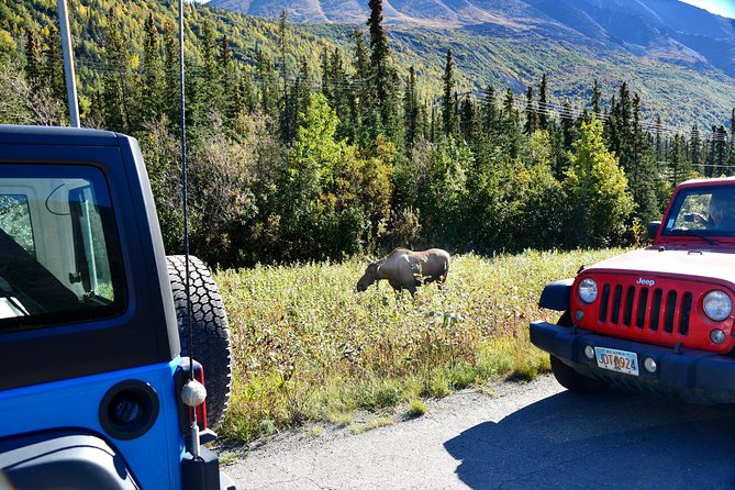 Denali Highway Jeep Excursion - The off-road promise, carefully explained