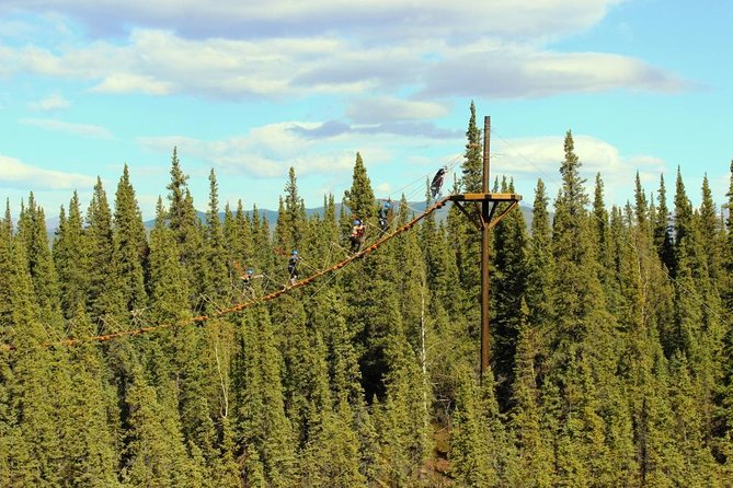 Denali Park Zipline Adventure - A remote start in the Denali forest