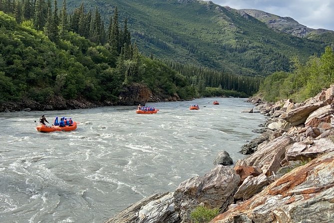 Denali Rafting Wilderness Wave - The route from the Denali meeting point to the river