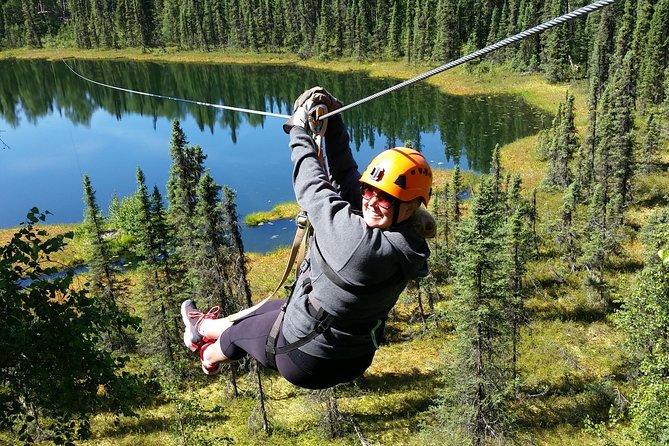 Denali Zipline Tour in Talkeetna, AK - Why Talkeetna is a fine place to zipline