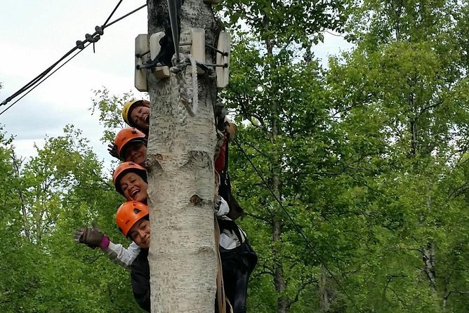 Denali Zipline Tour in Talkeetna, AK - Nine lines, with the excitement increasing