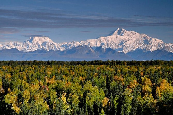 Denali Zipline Tour in Talkeetna, AK - What to wear and how to prepare