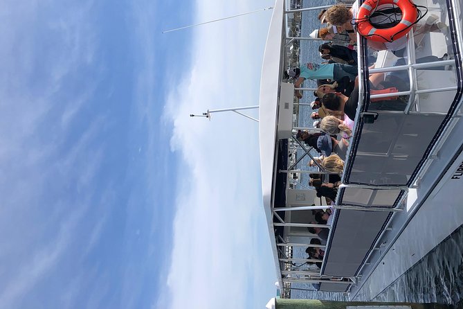 Destin Dolphin Cruise - Crew service, music, and the feel aboard
