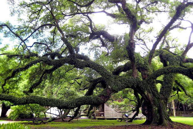 Destrehan Plantation Tour - Is $29.70 good value?