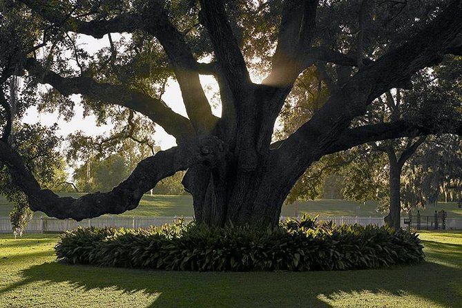 Destrehan Plantation Tour - How long should you allow?