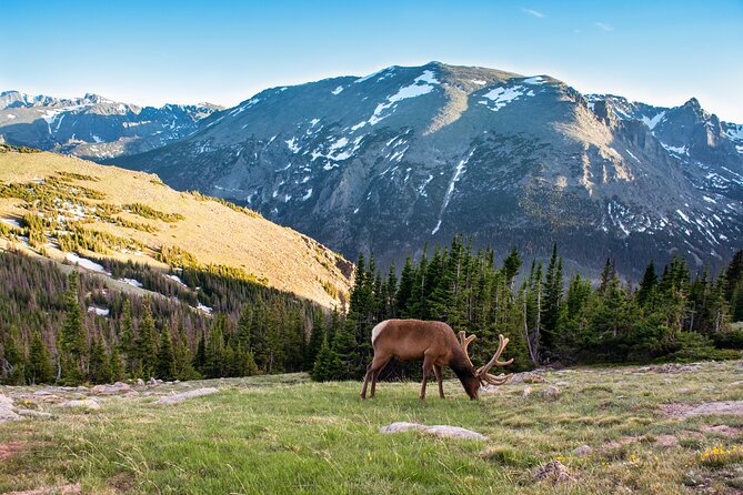 Discover Rocky Mountain National Park - Key points at a glance