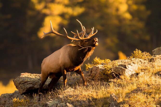 Discover Rocky Mountain National Park - What to wear and carry