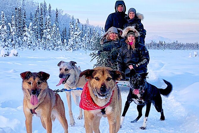 Dog Sledding Adventure in Willow, Alaska - What the $175 price includes