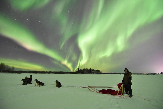 Dog Sledding and Mushing Experience in North Pole - Getting there and planning the rest of your day