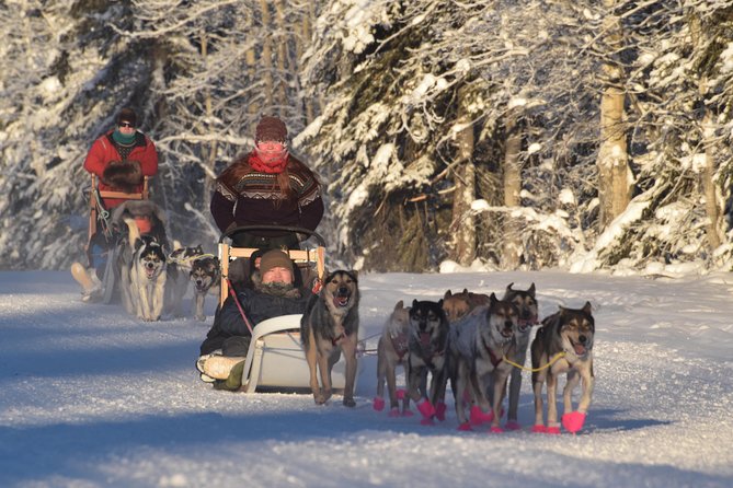 Dog Sledding and Mushing Experience in North Pole - The five-mile sled ride through North Pole snow