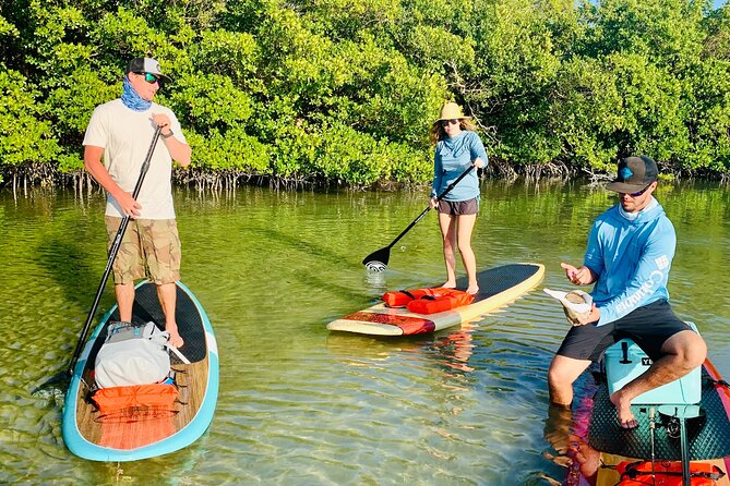 Dolphin and Manatee Adventure Tour of Fort Myers - The beach stop adds a welcome change of pace