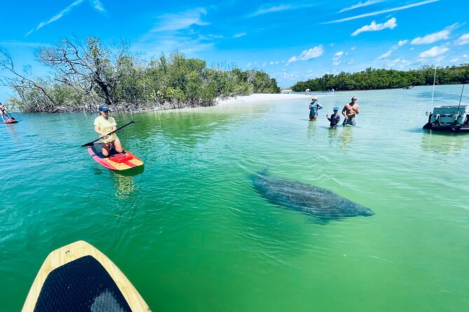 Dolphin and Manatee Adventure Tour of Fort Myers - A guide can make or break the morning