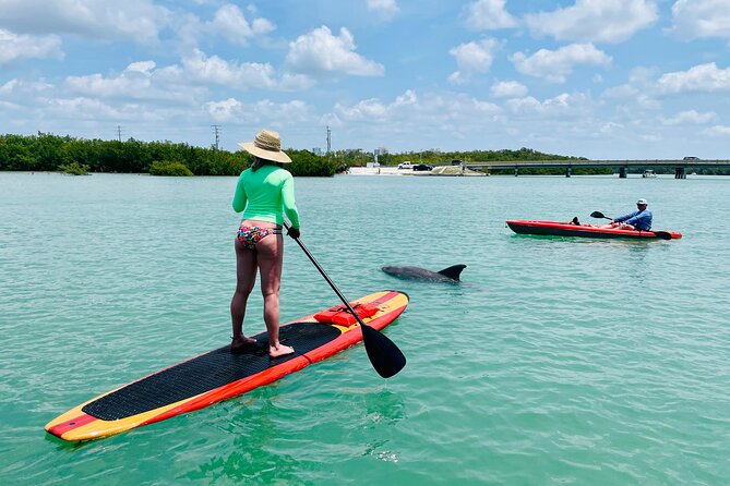 Dolphin and Manatee Adventure Tour of Fort Myers - Weather and cancellation details to know