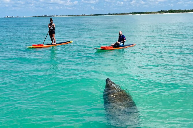 Dolphin and Manatee Adventure Tour of Fort Myers - Wildlife sightings are possible, not promised