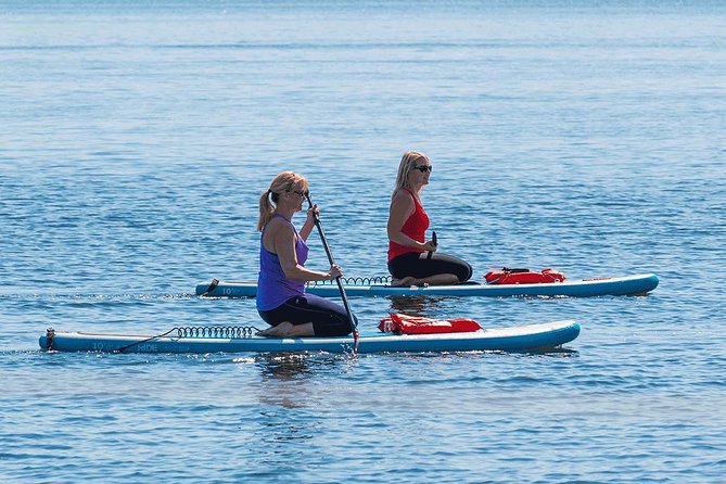 Dolphin and Manatee Stand Up Paddleboard Tour in Daytona Beach - What the Daytona paddleboard route is really like
