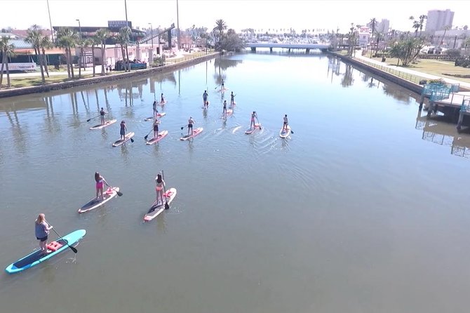 Dolphin and Manatee Stand Up Paddleboard Tour in Daytona Beach - What to wear and what to bring
