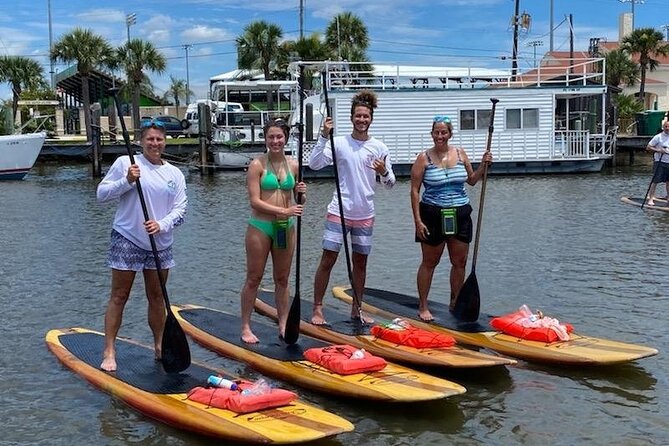 Dolphin and Manatee Stand Up Paddleboard Tour in Daytona Beach - Is $65 a fair price?